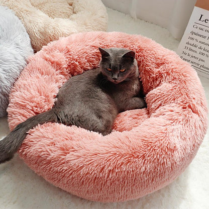 Kedi Köpek Yatağı - hep21 shop