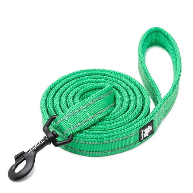 köpek gezdirme kayışı,köpek gezdirme ipi,köpek kayışı
