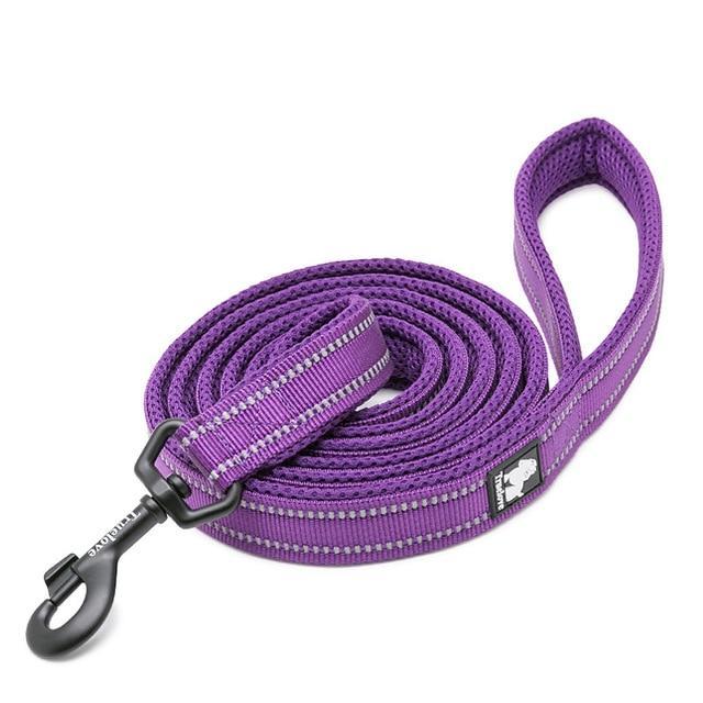 Köpek Gezdirme Kayışı