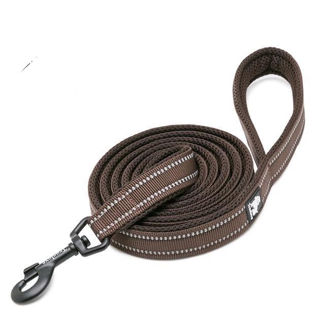 Köpek Gezdirme Kayışı 17205293