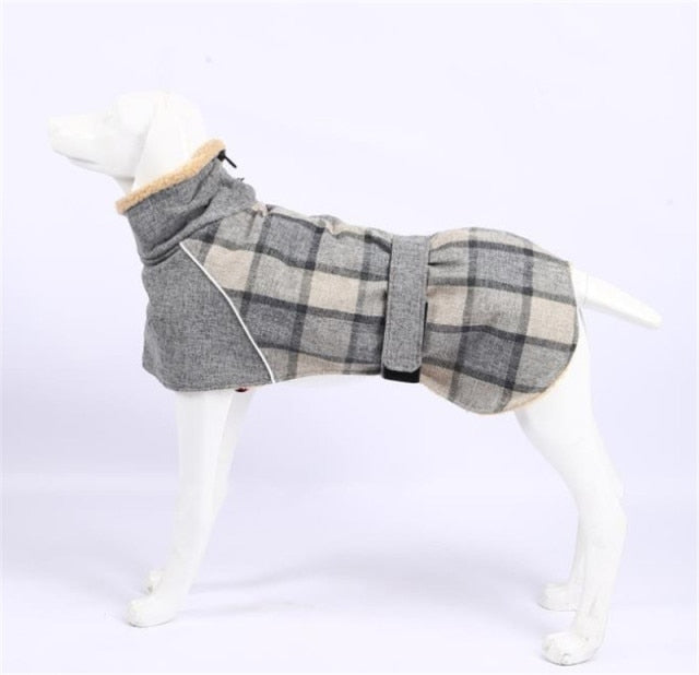 Köpek Montu 39723103