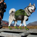 Köpek ayakkabı Reflective - hep21 shop