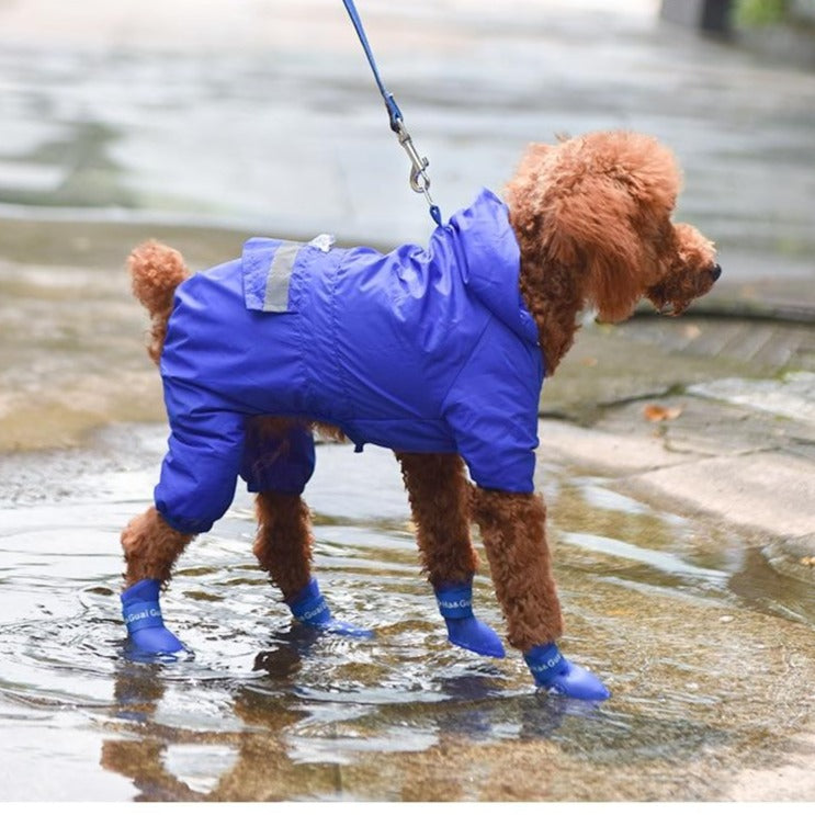 Köpek Ayakkabısı 