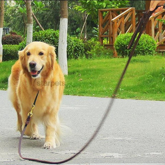 Köpek Deri Kayış örgü 121553