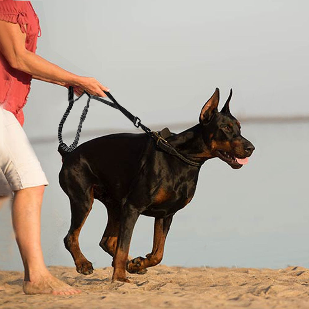 Köpek gezdirme kayışı Tactical Bungee 23082716