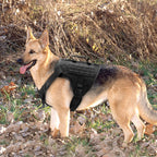 Köpek Göğüs Tasması Tactical SET 40621272
