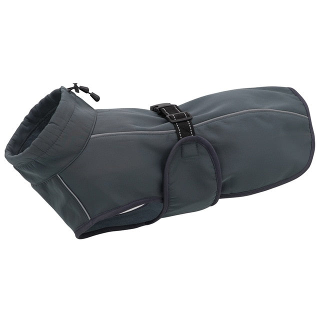köpek montu hep21