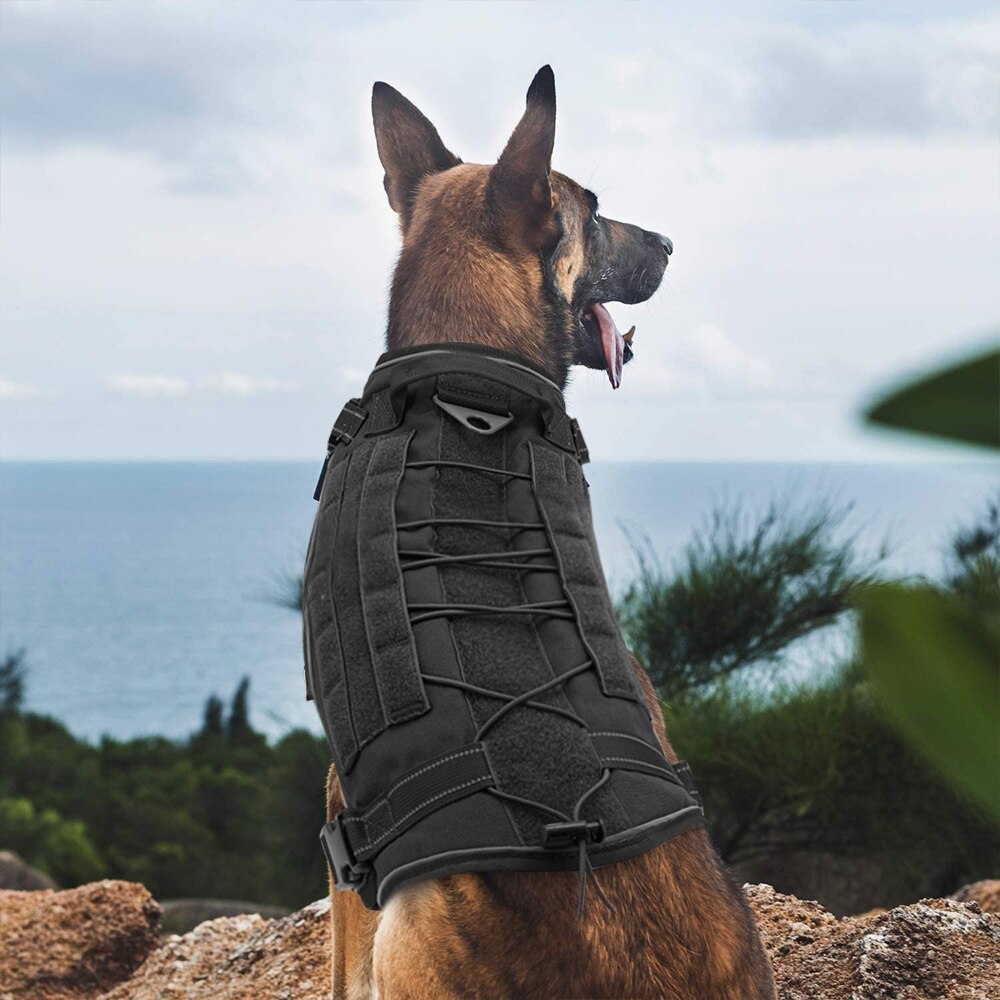 Köpek Göğüs Tasması 