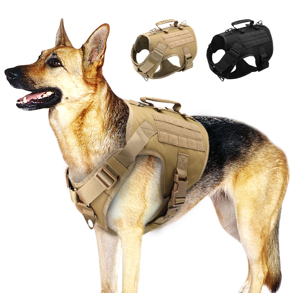 Köpek göğüs tasması tactical Kayış Seti 40621272