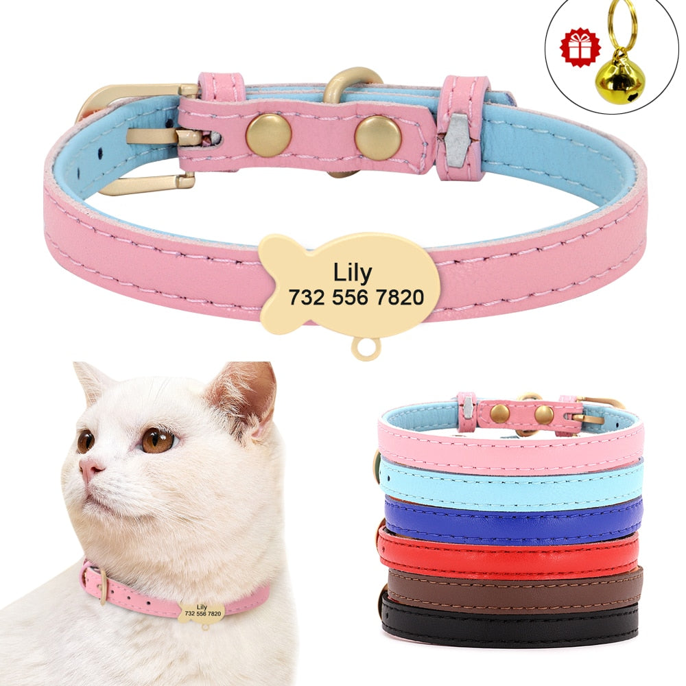 Kedi boyun tasması 