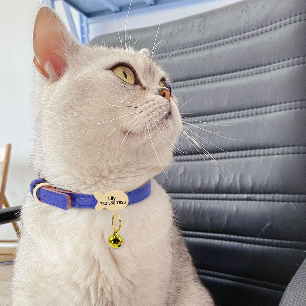 kedi tasması isimli