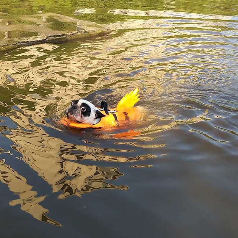 Köpek Cankurtaran Yeleği DRAGON