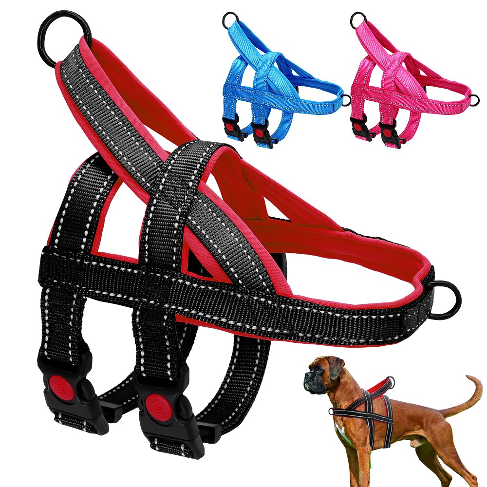 Köpek göğüs tasması