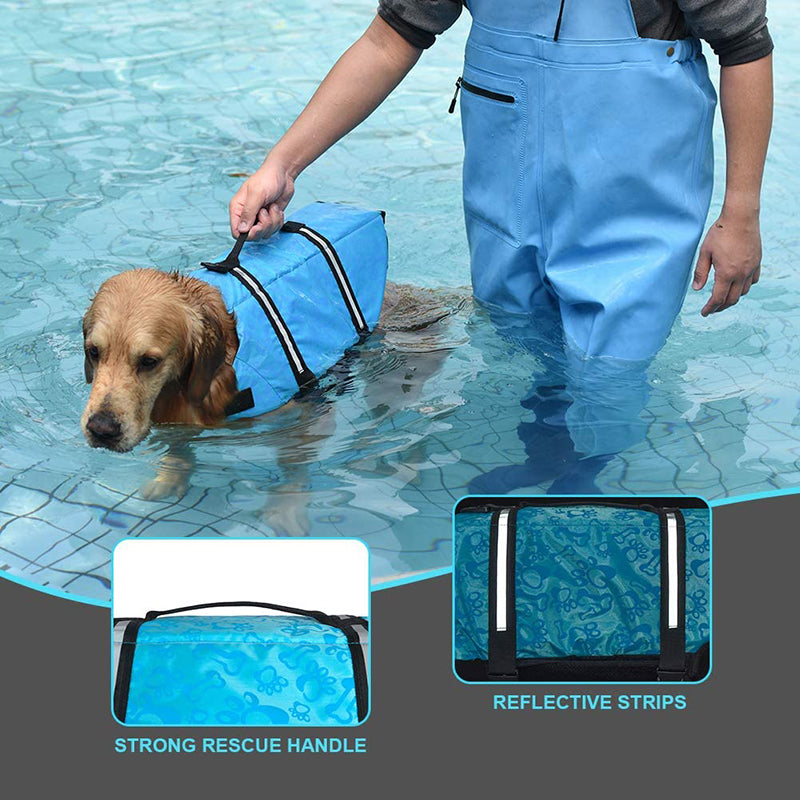 köpek cankurtaran yeleği
