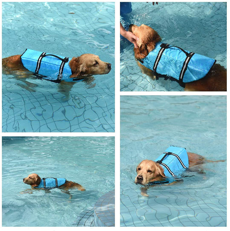 köpek cankurtaran yeleği