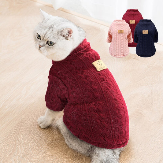 Kedi Kazağı