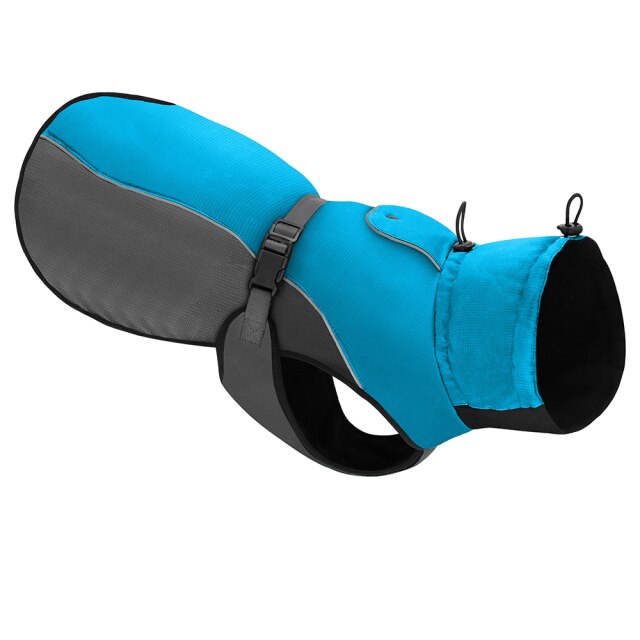 Köpek montu