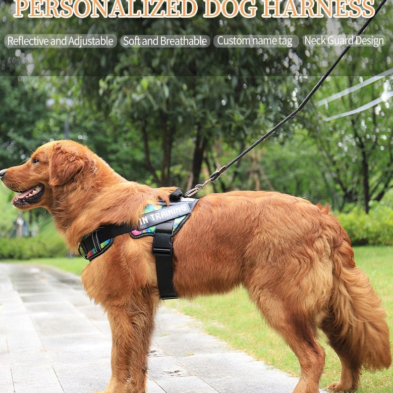 Köpek göğüs tasması İSİMLİ 48131422