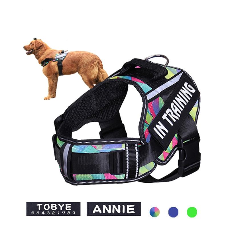 köpek göğüs tasması