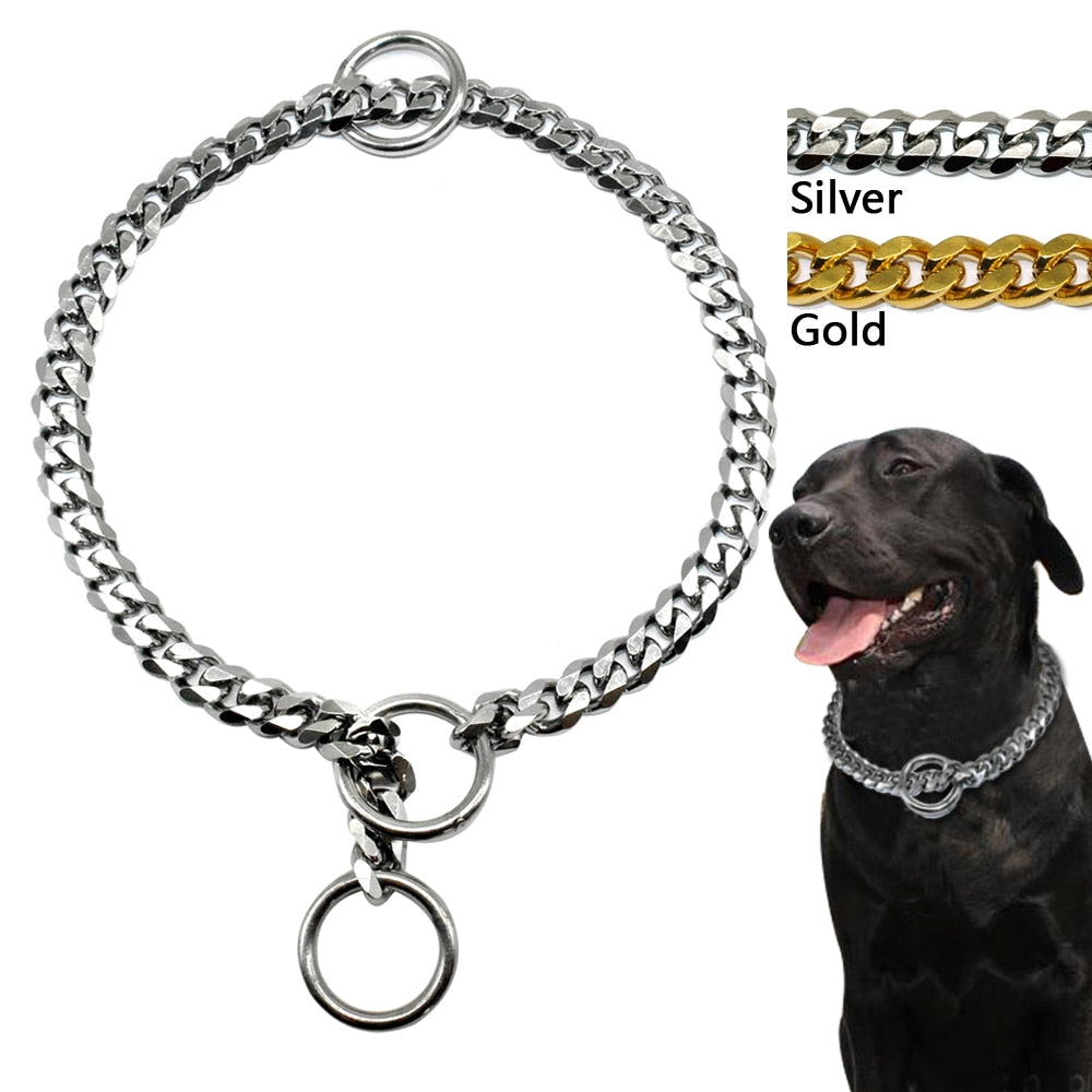 köpek tasması, zincir tasma , köpek zincir tasma, köpek boyun tasması