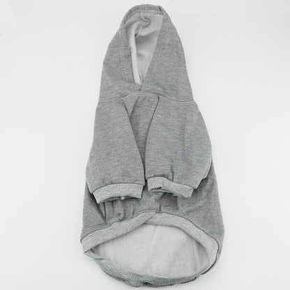 kedi sweatshirt
