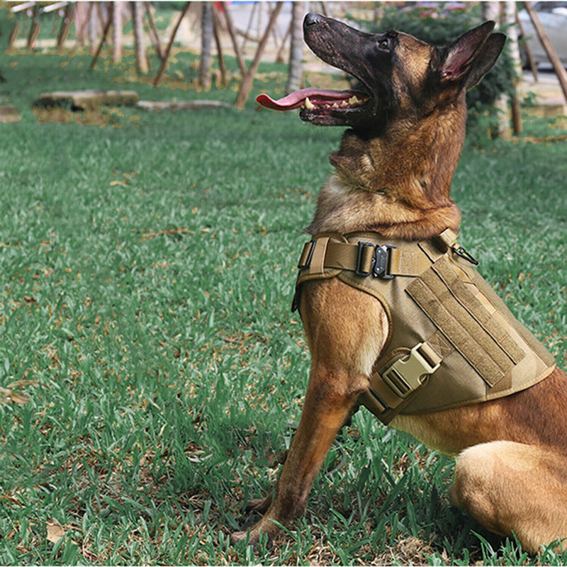 K9 Köpek Göğüs Tasması Tactical 69669132