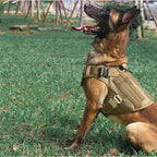 K9 Köpek Göğüs Tasması Tactical 69669132