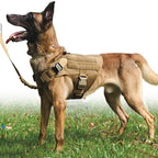 K9 Köpek Göğüs Tasması Tactical Set 69669132
