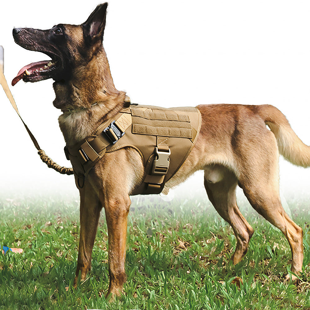 K9 Köpek Göğüs Tasması Tactical Set 69669132