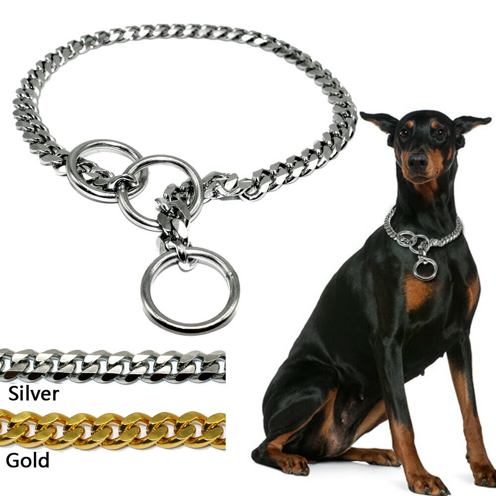 köpek tasması, zincir tasma , köpek zincir tasma, köpek boyun tasması