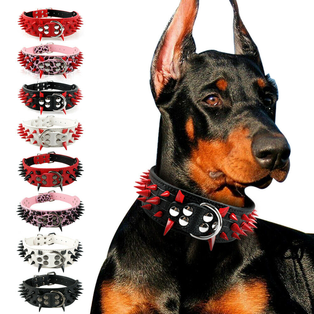 Pitbull tasması 252630