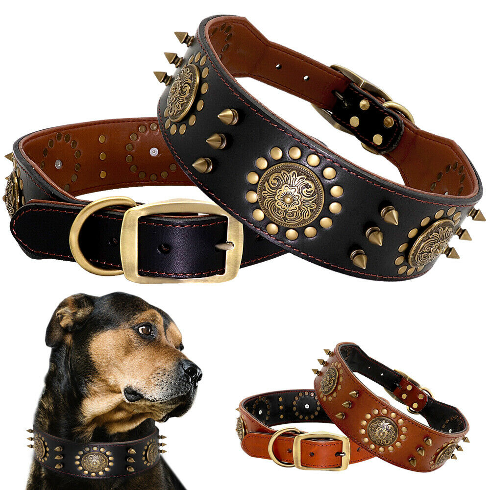 Pitbull Tasması 30736937