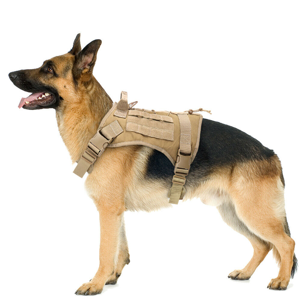 Köpek göğüs tasması K9 Tasma