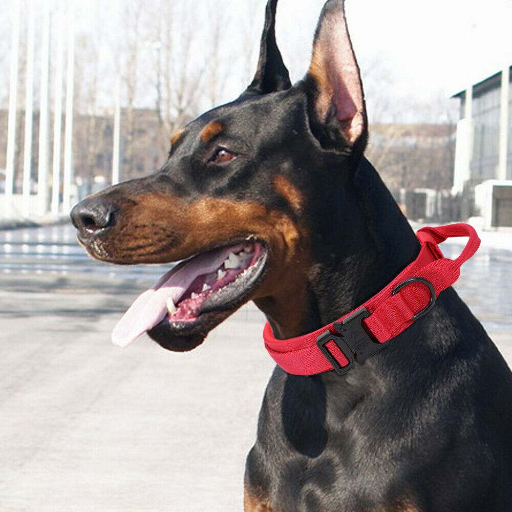 K9 Tasma Kayış seti 40023747