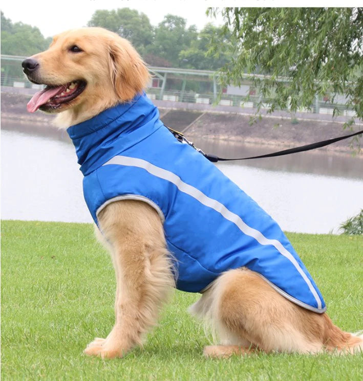 köpek yağmurluk