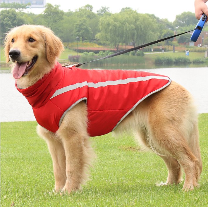 köpek yağmurluk